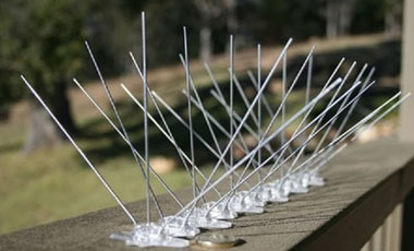 Balcony Safety Nets in Andhra Pradesh